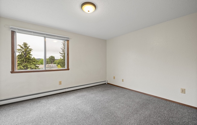 A room with a window and a carpeted floor.
