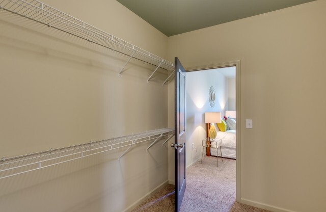 Large walk in closet looking into the bedroom