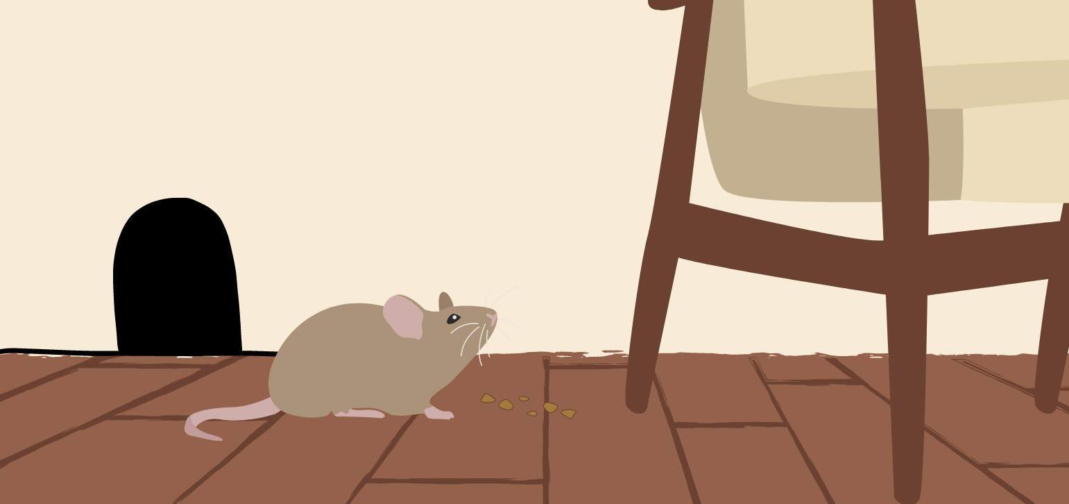 How to Get Rid of Mice in Your Apartment