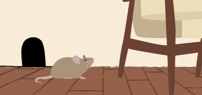 Just Saw a Mouse in Your Apartment? Here’s What to Do