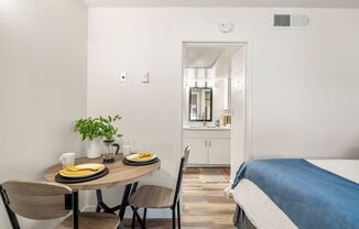 Studio, 1 bath, 300 sqft, $979, Unit 15