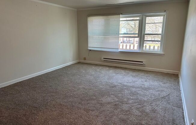 2 beds, 1 bath, 1,037 sqft, $875, Unit Apartment 4