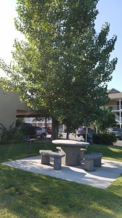 2 beds, 1 bath, 840 sqft, $1,275, Unit 1240-19