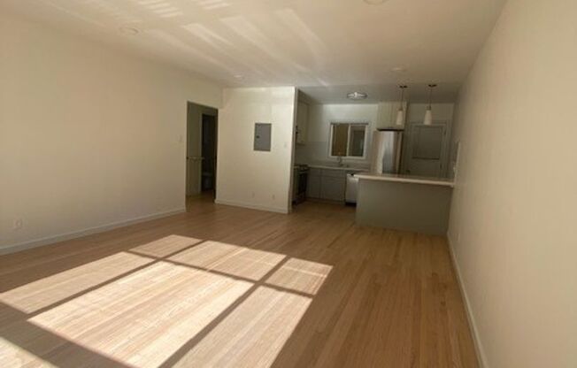 1 bed, 1 bath, $2,995, Unit 1