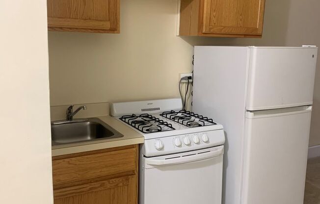Studio, 1 bath, 300 sqft, $1,492, Unit 407