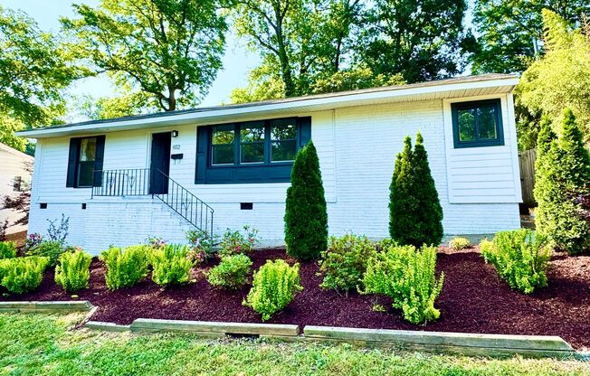 Stunning 3 bed 2 bath home with fenced yard