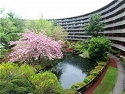 2 beds, 1 bath, 810 sqft, $3,000, Unit T35