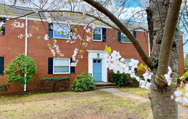 1 bed, 1 bath, 573 sqft, $850, Unit 3513B Pkwd