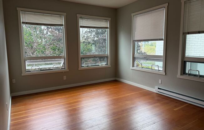 1 bed, 1 bath, 600 sqft, $1,495, Unit 313