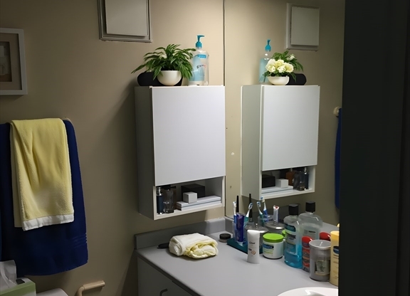 Studio, 1 bath, 513 sqft, $2,750, Unit 422