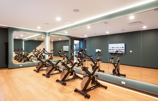A gym with exercise bikes lined up in rows.