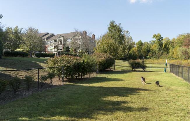 Dog Park at Wyndchase at Aspen Grove, Franklin, Tennessee