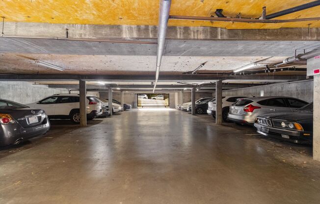 Studio, 1 bath, 504 sqft, $1,591, Unit 303