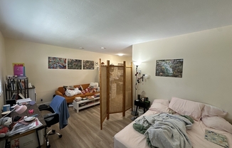 Studio, 1 bath, 375 sqft, $1,950, Unit 106