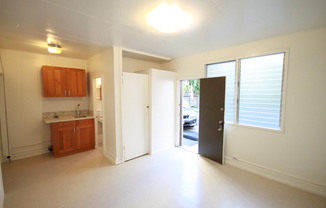 Studio, 1 bath, 250 sqft, $1,200, Unit 1