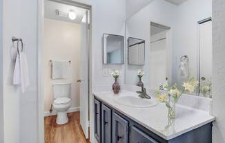 a bathroom with a sink and a toilet