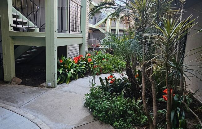 Redwood Terrace