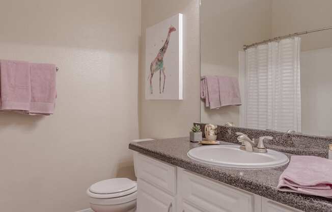 Luxurious Bathroom at Wind Dance, Carrollton, TX, 75010