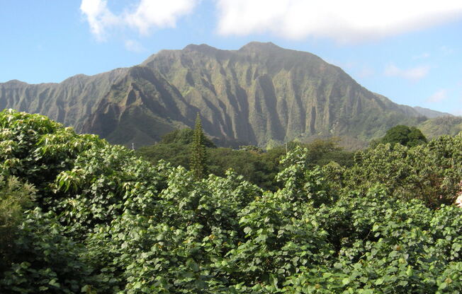 Lovely Windward Acres