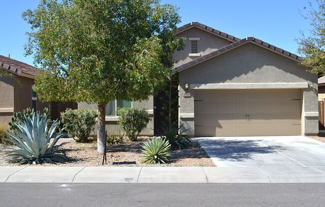 MOVE-IN-READY San Tan Heights Beauty