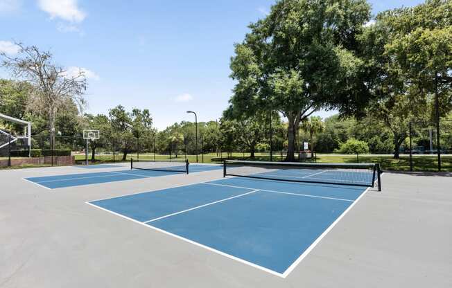 two tennis courts with trees in the background on a sunny day