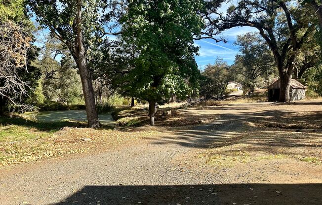 Stunning Renovated 2 Bedroom 2 Bathroom Farm House on 8 Acres