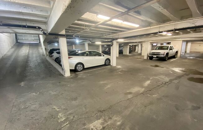 1 bed, 1 bath, 586 sqft, $1,495, Unit 216