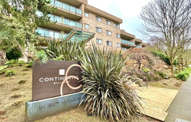 Great Condo For Rent