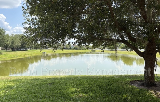 1131 HONEY BLOSSOM DR