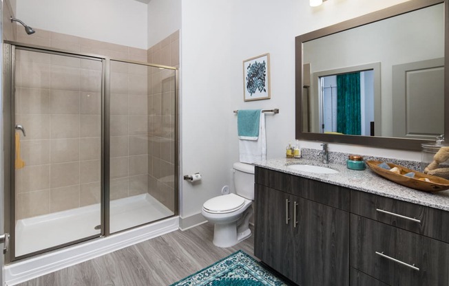 Walk-In Oversized Shower at The Flats at Ballantyne Apartments, Charlotte, NC