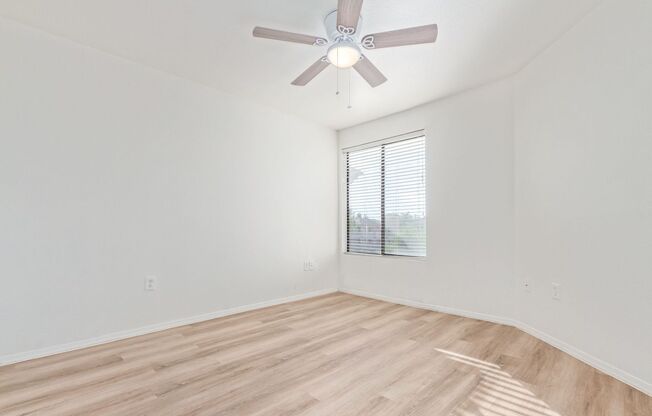 1 bed, 1 bath, $1,250