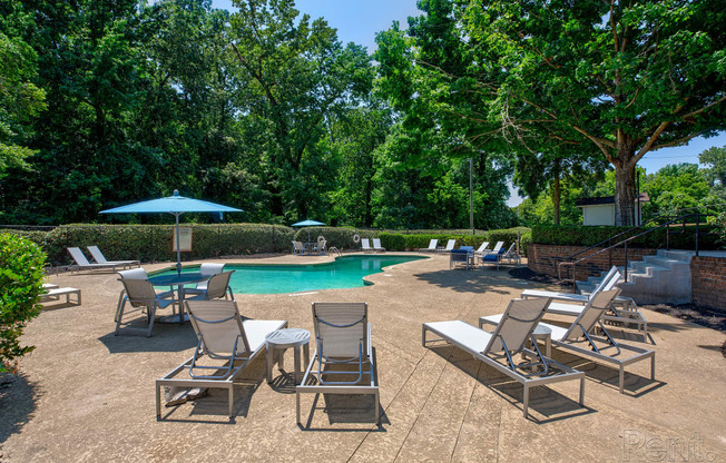 a swimming pool with chairs and umbrellas and trees