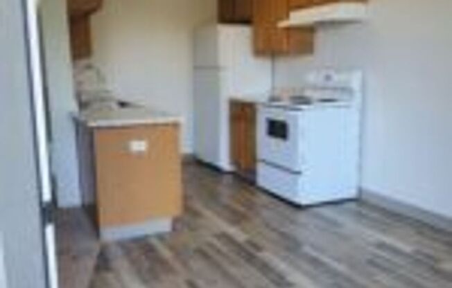 1 bed, 1 bath, 731 sqft, $1,400, Unit 111