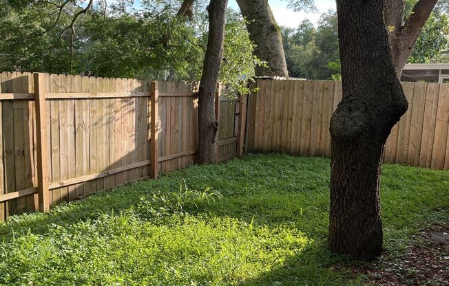 Newly Remodeled 3-Bedroom, 2-bathroom with garage for rent Near Busch Gardens & USF!