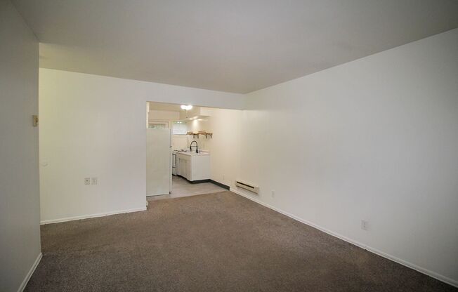 Studio, 1 bath, 500 sqft, $975