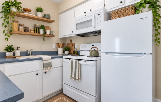 Studio, 1 bath, 250 sqft, $1,030, Unit 162