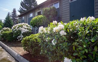 Spring Savings! Cedar Hills Garden Style Spacious 1 Bdr w/Patio!