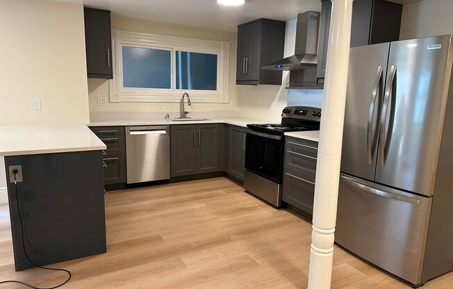 1 bed, 1 bath, 605 sqft, $2,995, Unit Apt #1