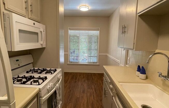 1 bed, 1 bath, $1,600, Unit 10