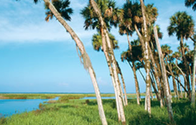 St Johns River Fishing