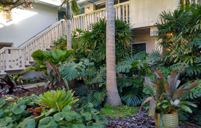 Winter Park Apartment Great Location