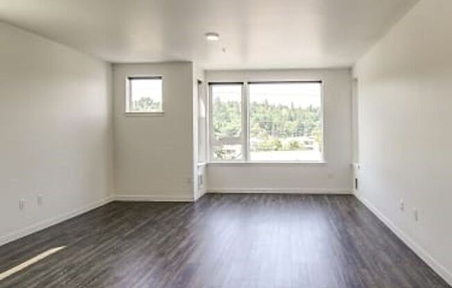 Studio, 1 bath, 479 sqft, $1,299, Unit 302