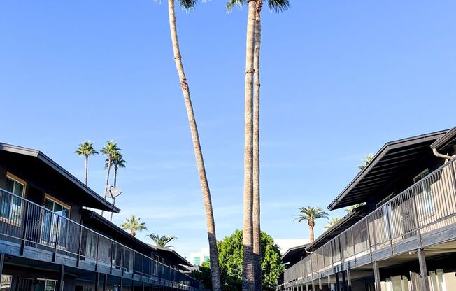 1 bed, 1 bath, 635 sqft, $1,200, Unit 24