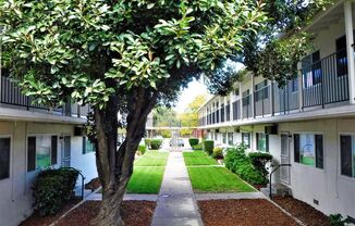 1 bed, 1 bath, $1,495, Unit 45