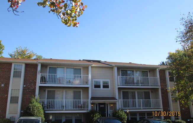Tow bedoom Condo