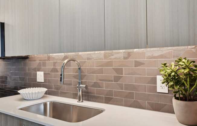 a kitchen with a sink and a plant at Cassidy on Canal, Chicago