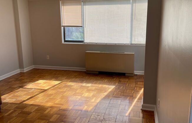 Spacious Studio Apartment in Cleveland Park