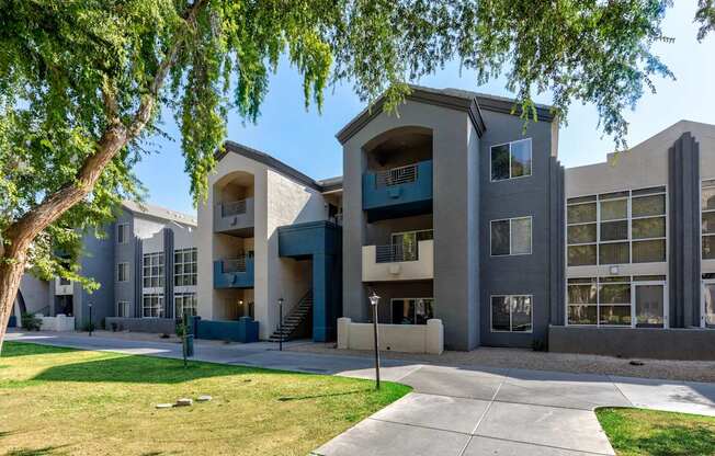 A modern apartment building with a tree in the foreground.