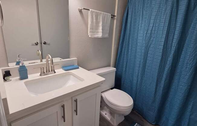 A bathroom with a sink, toilet, and shower curtain.