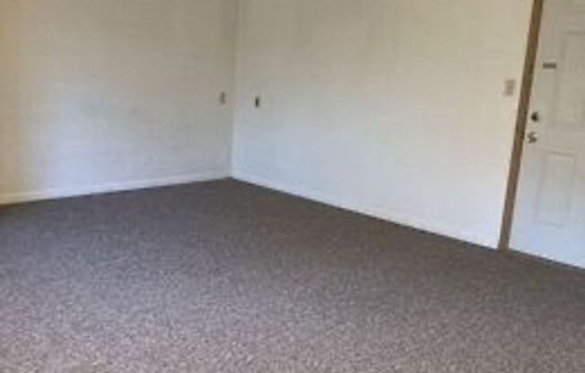 Studio, 1 bath, 450 sqft, $750, Unit 232